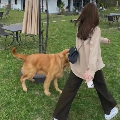 后宫:帝王之妾